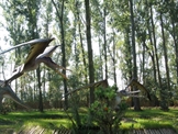 park-dinozaury-zaurolandia-rogowo